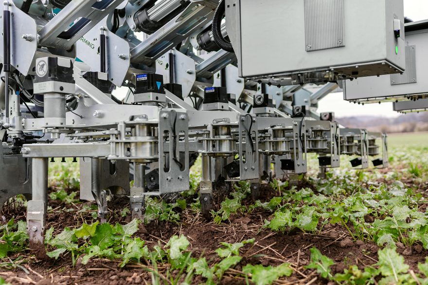 Landwirtschaftliche Maschine mit mehreren mechanischen Greif- und Bearbeitungseinheiten, die über einem Feld mit jungen Pflanzen arbeiten.